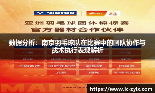 数据分析：南京羽毛球队在比赛中的团队协作与战术执行表现解析