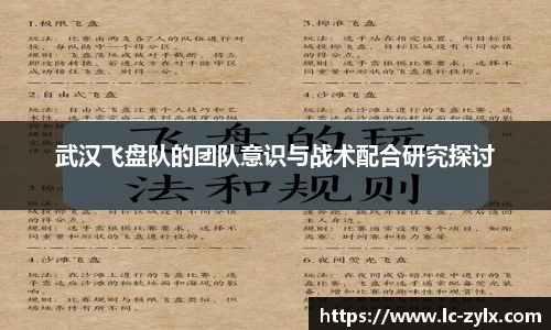 武汉飞盘队的团队意识与战术配合研究探讨
